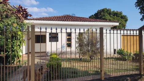 imagem 1 - Casa térrea com 2 Quartos, 5 vagas e Edícula na Vila São Jorge imagem 1 - Casa térrea com 2 Quartos, 5 vagas e Edícula na Vila São Jorge