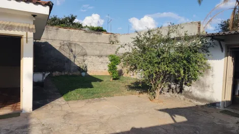 imagem 3 - Casa térrea com 2 Quartos, 5 vagas e Edícula na Vila São Jorge imagem 3 - Casa térrea com 2 Quartos, 5 vagas e Edícula na Vila São Jorge