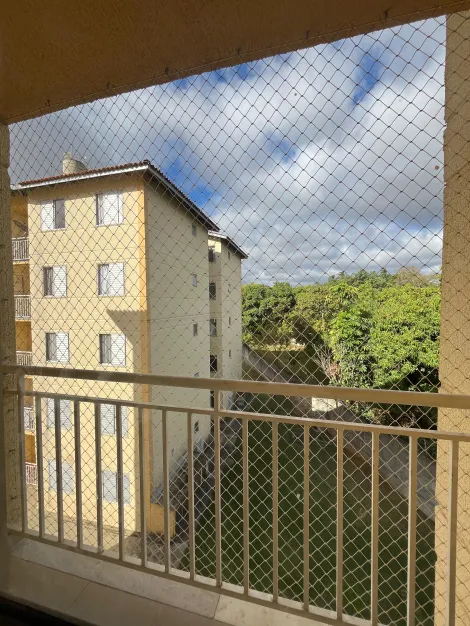 imagem 3 - Apartamento - Padrão imagem 3 - Apartamento - Padrão