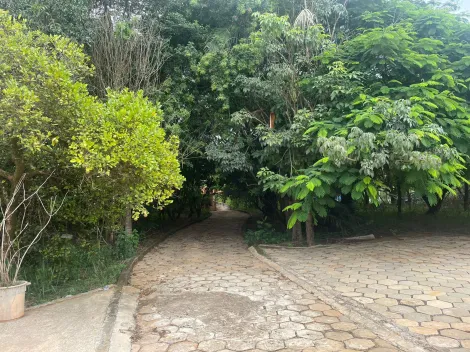 imagem 2 - Chácara á venda com 3 Quartos sendo 1 suíte no Bananal em Iperó-SP imagem 2 - Chácara á venda com 3 Quartos sendo 1 suíte no Bananal em Iperó-SP