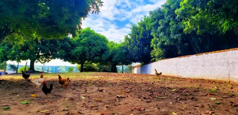 imagem 3 - Terreno de 10,100m² á venda do Bairro Judiacanga em Araçoiaba da Serra- SP imagem 3 - Terreno de 10,100m² á venda do Bairro Judiacanga em Araçoiaba da Serra- SP